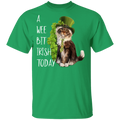 A Wee Bit Irish Today Cat Funny Gifts Patrick's Day Irish T-Shirt
