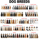 Custom Names Just A Girl Who Love Fall And Her Dog Shirt Thanksgiving Gift Dog Lover Gift, Autumn Shirt Personalized Shirts For Women Shirt SHIRTS_Autumn Dog Girl