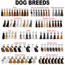 Custom Names Just A Girl Who Love Fall And Her Dog Shirt Thanksgiving Gift Dog Lover Gift, Autumn Shirt Personalized Shirts For Women Shirt SHIRTS_Autumn Dog Girl