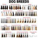 Custom Names Just A Girl Who Love Fall And Her Dog Shirt Thanksgiving Gift Dog Lover Gift, Autumn Shirt Personalized Shirts For Women Shirt SHIRTS_Autumn Dog Girl