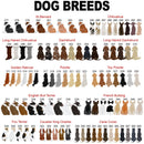 Custom Photo Name Lady Dog Personalized Pet Memorial Mug Pet Loss Dog Loss Gift Thanks For Everything I Had A Great Time Sympathy Gift Women MUG_Dog Mug