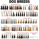 Custom Photo Name Lady Dog Personalized Pet Memorial Mug Pet Loss Dog Loss Gift Thanks For Everything I Had A Great Time Sympathy Gift Women MUG_Dog Mug