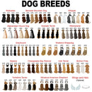 Custom Photo Name Personalized Pet Memorial Mug, Pet Loss, Dog Loss Gift, Your Wing Were Ready But My Heart Was Not Custom Mug Sympathy Gift MUG_Dog Mug