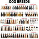 Personalized Dog Dad Mug, Dog Lover Gift, Best Friend Mug, Custom Dog Mug, Best Dog Dad Ever Mug, Dog Gift For Men, Gift For Dog Lover MUG_Dog Mug