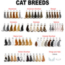 Personalized Name Just A Girl Who Loves Fall And Her Cat Under The Autumn Tree T Shirt, Cat Lover Gift, Fall T Shirt For Women Shirt SHIRTS_Autumn Pet Girl