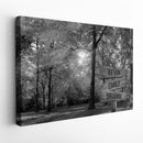 Personalized Name Sign Fall Wall Art Canvas Custom Name Sign Sunshine Autumn Tree Nature Wall Art Personalized Wall Decor Last Name Signs For Home Family Name Sign Landscape Art B&W CANLA15_Multi Name Canvas