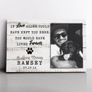 Personalized Pet Memorial Frame, Pet Loss Gifts, Cat Loss Gift, Dog Loss Gift, Pet Sympathy Gift, Pet Bereavement Gift, Pet Loss Photo Frame CANLA15_Miss Pet Canvas