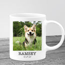Personalized Pet Memorial Mug, Pet Loss Gifts, Dog Loss Gift, Cat Loss Gift, Pet Sympathy Gift, Pet Bereavement Gift, Pet Loss Photo Mug MUG_Dog Mug