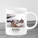 Pet Memorial Photo Name Personalized Mug, Cat Sympathy Photo Mug, Cat Remembrance, Pet Loss Thanks For Everything I Had A Great Time Mug MUG_Cat Mug