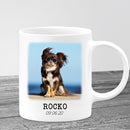 Pet Memorial Photo Name Personalized Mug, Dog Sympathy Photo Mug, Dog Remembrance, Pet Loss Thanks For Everything I Had A Great Time Mug MUG_Dog Mug