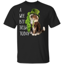 A Wee Bit Irish Today Cat Funny Gifts Patrick's Day Irish T-Shirt