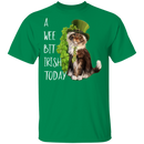 A Wee Bit Irish Today Cat Funny Gifts Patrick's Day Irish T-Shirt