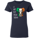 A Wee Bit Irish Today Elephant Funny Gifts Patrick's Day Irish T-Shirt