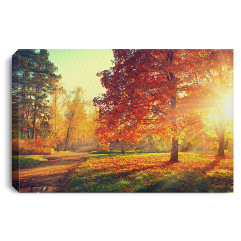 Autumn Canvas - Autumn Trees And Leaves In Sun Light Canvas For Home Decor Autumn - CANLA75 - CustomCat