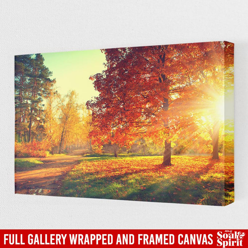 Autumn Canvas - Autumn Trees And Leaves In Sun Light Canvas For Home Decor Autumn - CANLA75 - CustomCat