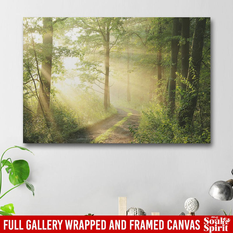 Dirt Road Through Deciduous Forest At Dawn - Forest Canvas For Living Room Decor Family - CANLA75 - CustomCat