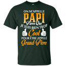 Funny Papi T-shirts CustomCat