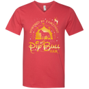 Funny T-shirt For Pit Bull Lovers CustomCat