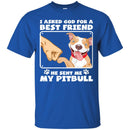 I Asked God For A Best Friend He Sent Me My Pitbull Funny Gift Lover Dog Tee Shirt CustomCat