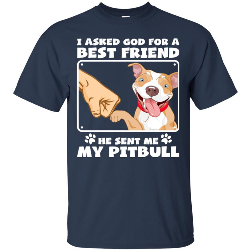 I Asked God For A Best Friend He Sent Me My Pitbull Funny Gift Lover Dog Tee Shirt CustomCat