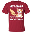 I Asked God For A Best Friend He Sent Me My Pitbull Funny Gift Lover Dog Tee Shirt CustomCat