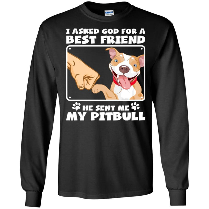 I Asked God For A Best Friend He Sent Me My Pitbull Funny Gift Lover Dog Tee Shirt CustomCat
