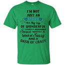 I'm Not Just An Aunt A Big Cup Of Wonderful Covered In Awesome Sauce With A Splash Of Sassy Shirts CustomCat