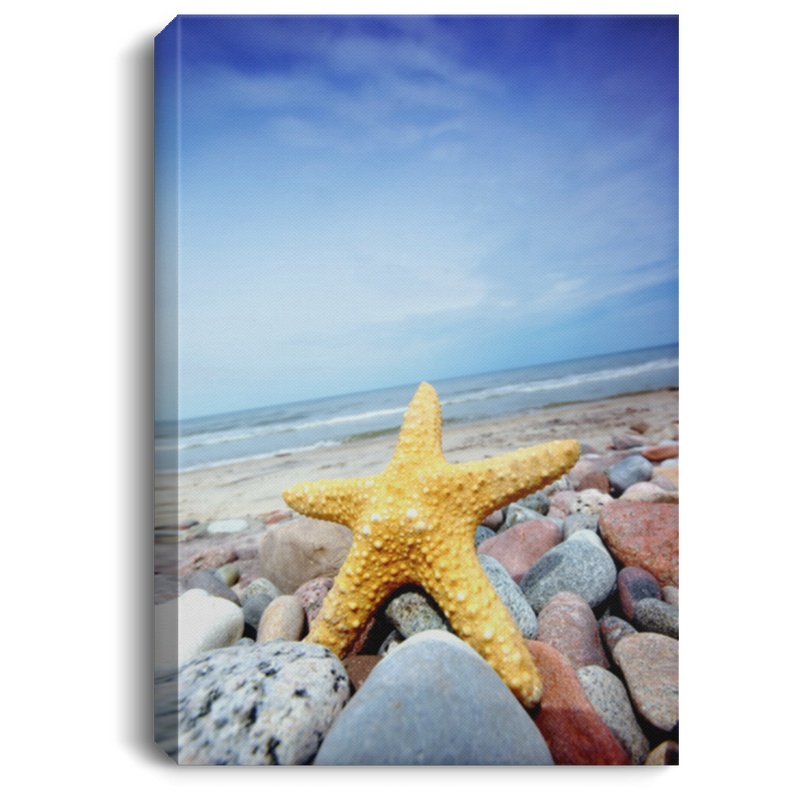 Memaid Canvas - Starfish On The Tropical Beach Canvas For Home Decor CustomCat