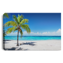 Scenic Coral Beach With Palm Tree Canvas For Home Decor CustomCat
